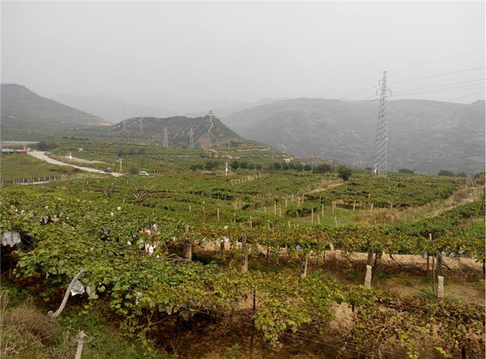 拔奎村農(nóng)村供水設(shè)備